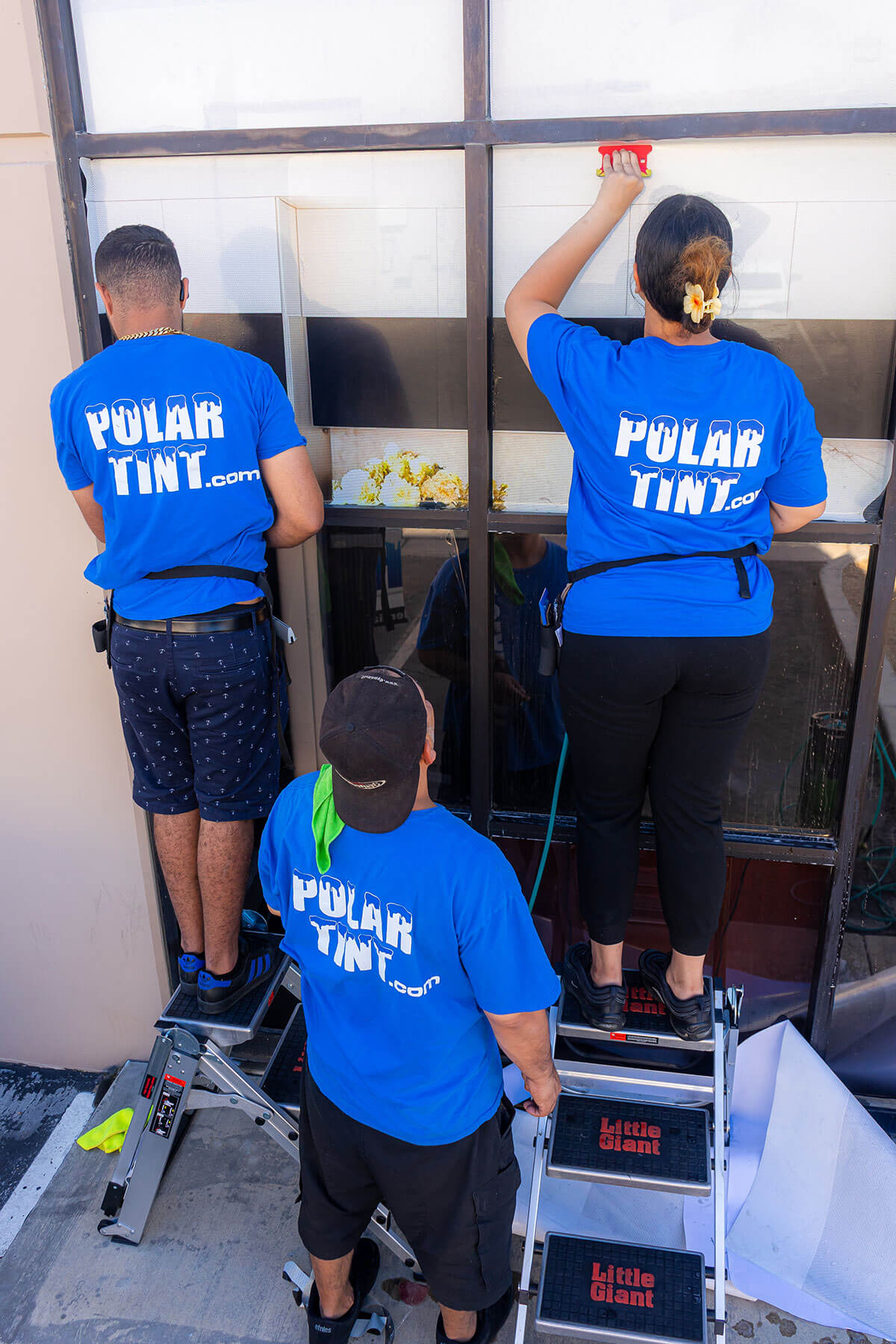 Storefront window graphics and large-format commercial signage installed on a Henderson NV business by Polar Tint Henderson